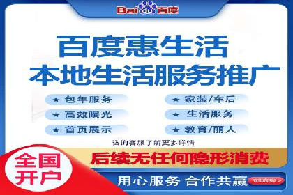 百度推广的投放策略与效果分析